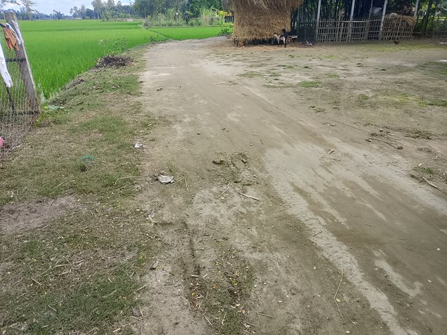 1000047838.jpg