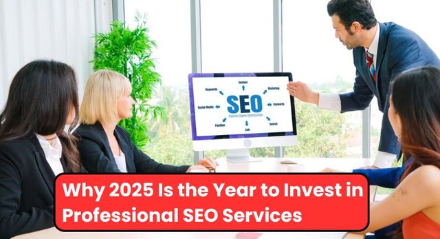 Why 2025 Is the Year to Invest in Professional SEO Services .jpg