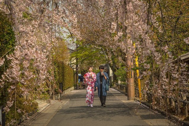 Kyoto gueixas street.jpg