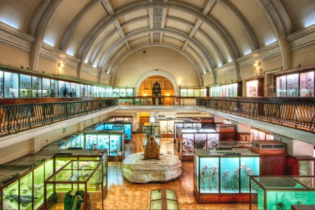 horniman-museum-unusual.jpg