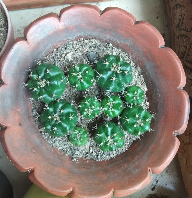 ph2.jpg