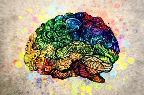 cerebro-coloreado.jpg