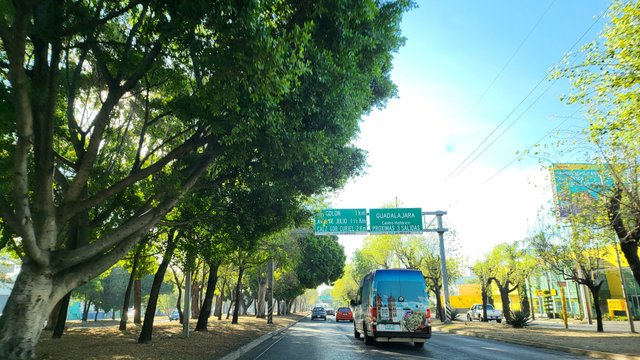 20240331_083542.jpg