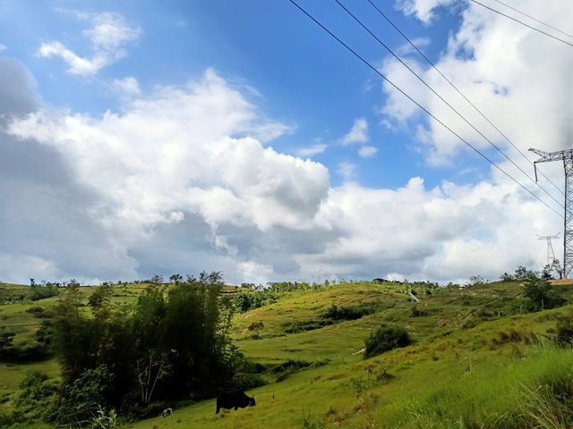 IMG20230319142706.jpg