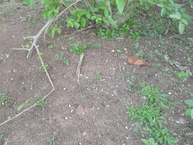 IMG-20251005-WA0086.jpg