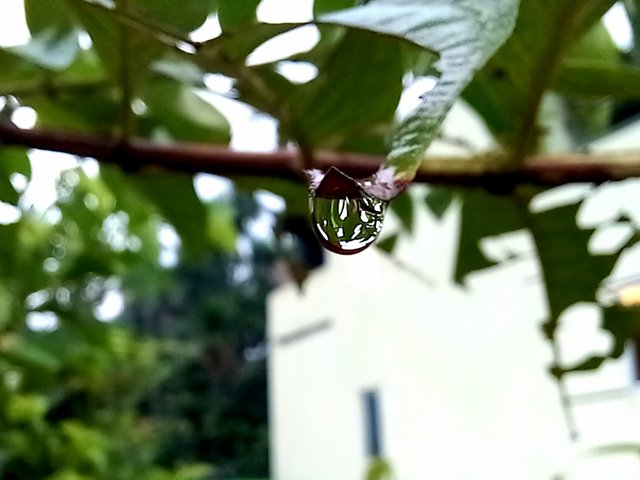 20250715_115035.jpg