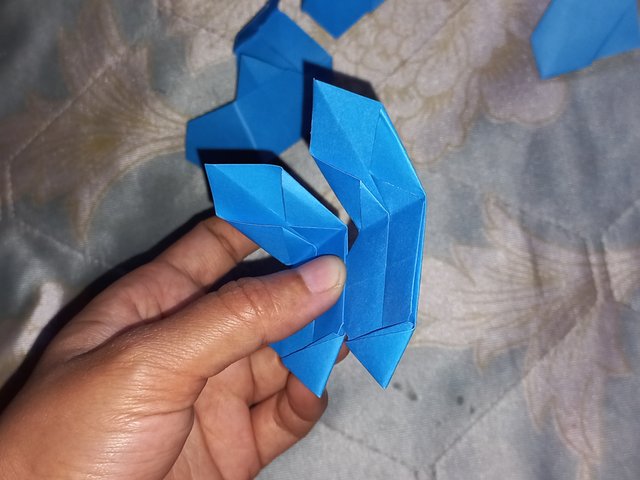 20250505_110446.jpg