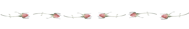 Benner divisor steemit.png