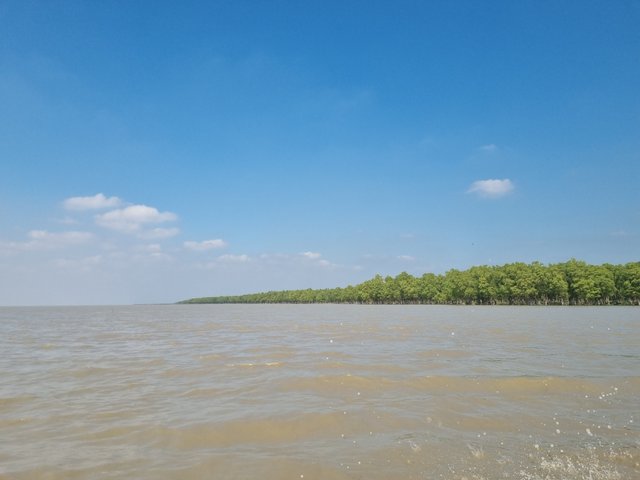 20241115_111645.jpg