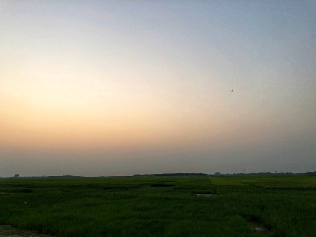 IMG_1918-01.jpeg
