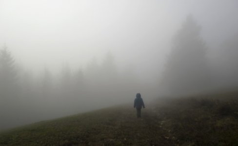 d-walking-into-the-mist.jpg