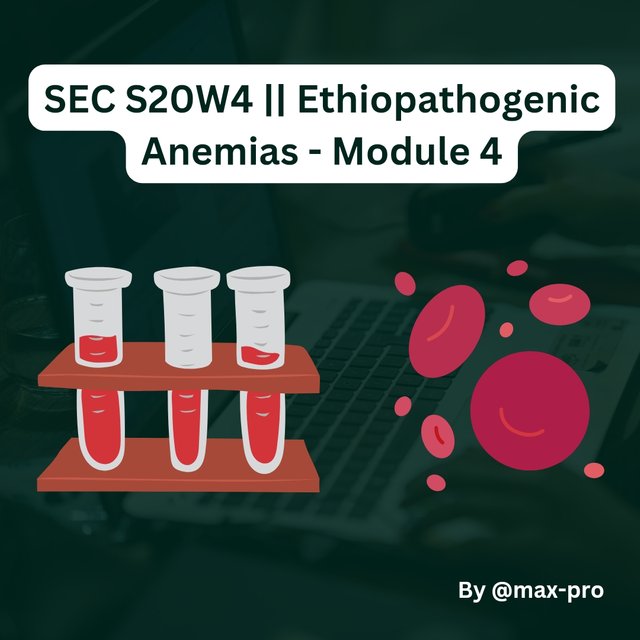 SEC S20W4 __ Ethiopathogenic Anemias - Module 4_20241001_124244_0000.jpg