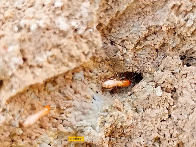 IMG20220105161915_01.jpg