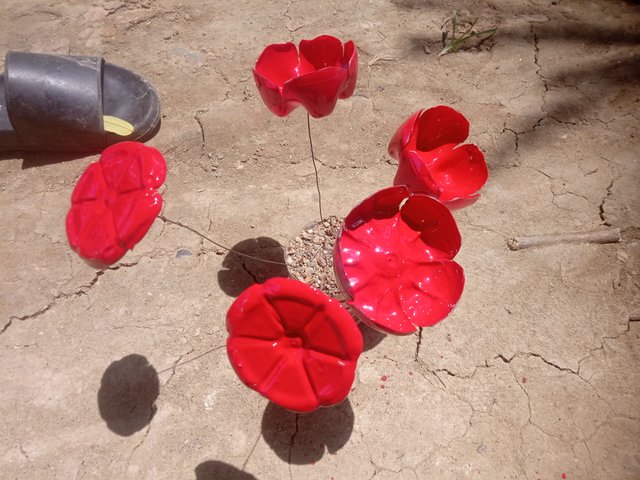 IMG20250615130354.jpg