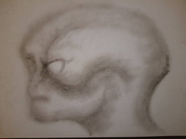 20250807_105059.jpg