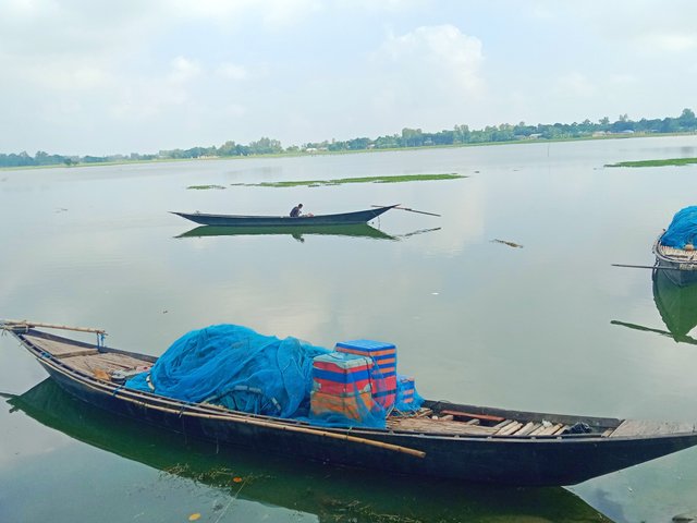 IMG_20250914_065751.jpg