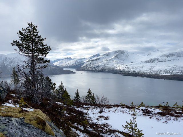 Efjord-9.jpg