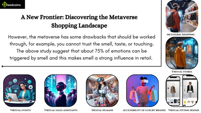 A New Frontier Discovering the Metaverse Shopping Landscape.jpg