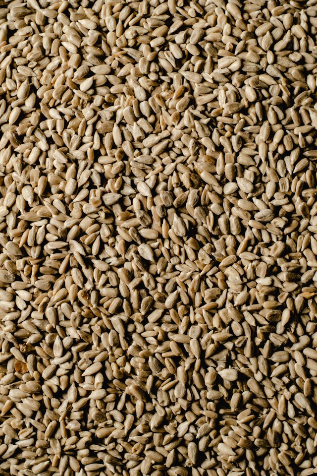 SUNFLOWER SEEDS.jpg