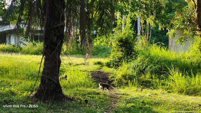 IMG_20250716_175305.jpg