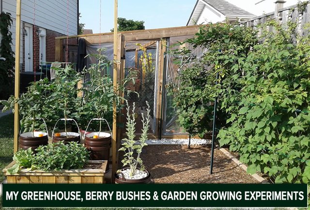 2_greenhouse.jpg
