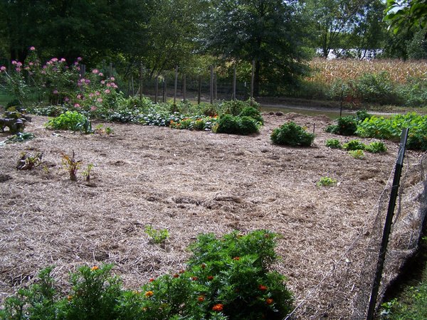 Big garden - finished looking southeast2 crop Sept. 2018.jpg