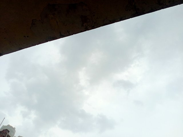 IMG20250619152543.jpg