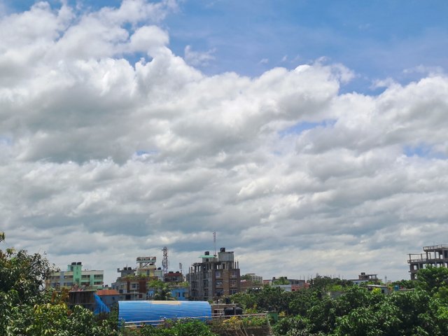 20250725_122431.jpg