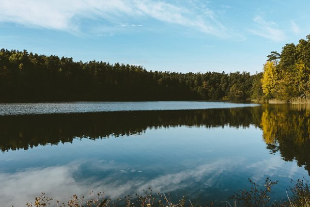 calm_lake_surrounded_by_forest-1000x667.jpg