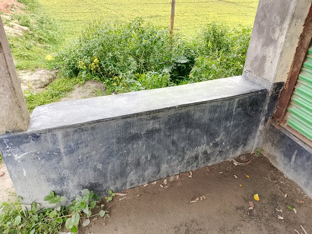 1000042693.jpg