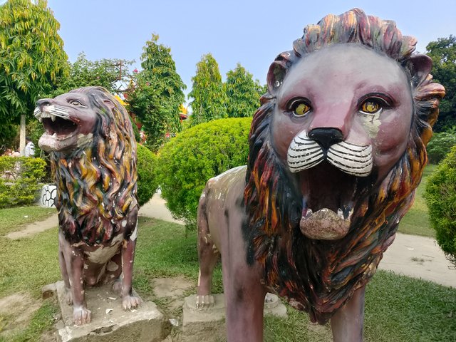 1000041037.jpg