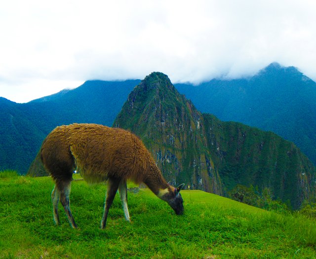 Perú 3.jpg