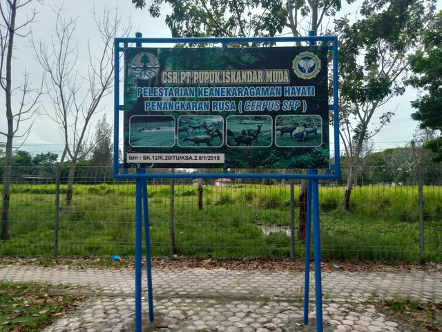 IMG20250406141649.jpg