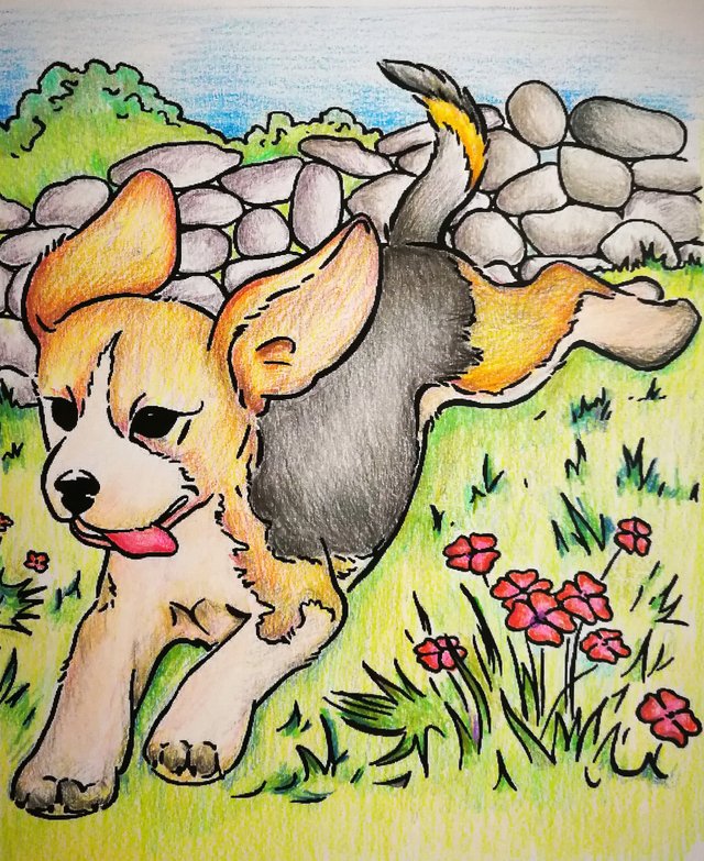 The Animal Colouring Contest #2 || A Happy Dog — Steemit