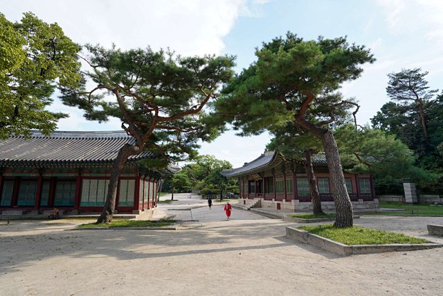 b-DSC00629.JPG