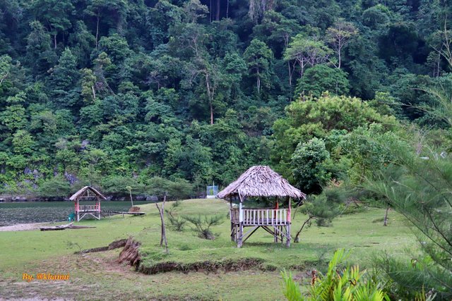 Gubuk dan Hutan (1).JPG