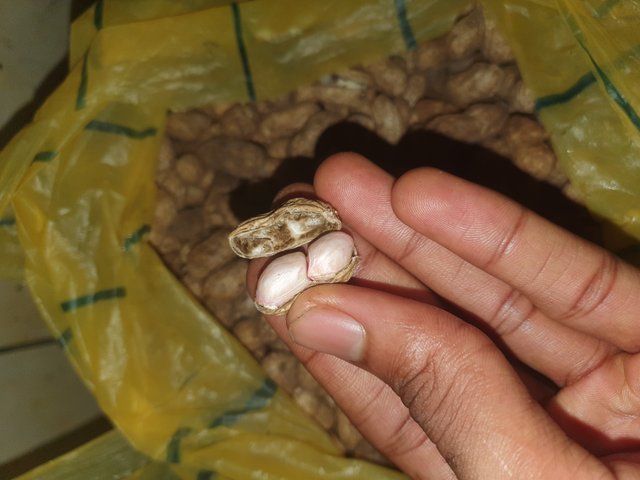 20250818_113833.jpg