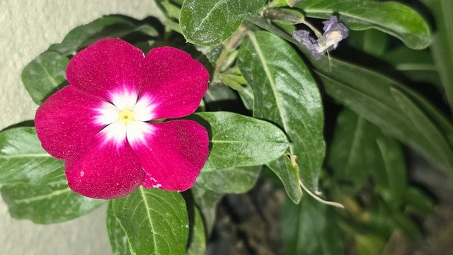 20250322_043930.jpg