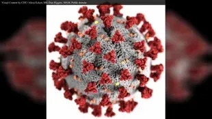 310px-seek=2-En.Wikipedia-VideoWiki-Coronavirus_disease_2019.webm.webp