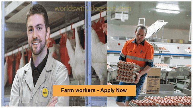 Farm Labourer Egg and Poultry needed urgently in Canada.PNG