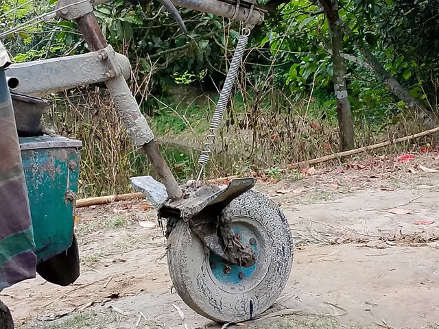 1000046008.jpg