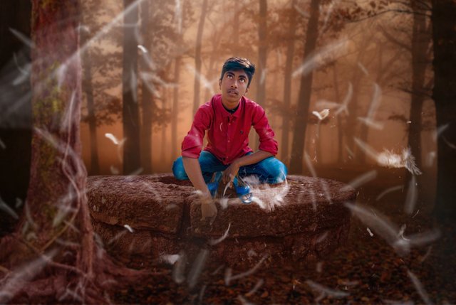 A Boy In Silent Forest Photomanipulation In Photoshop.jpg