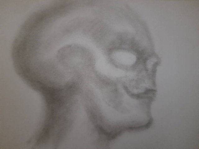 20250623_101846.jpg