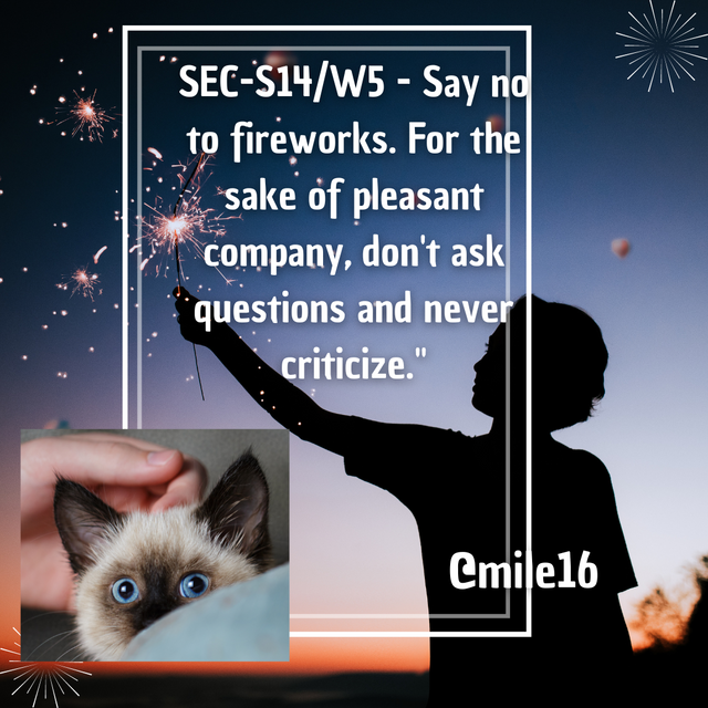 SEC-S14W5 - Say no to fireworks. For the sake of pleasant company, don't as_20231229_084226_0000.png