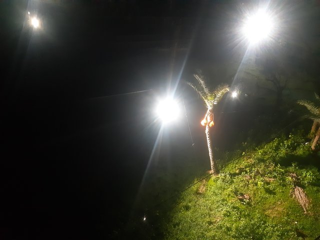 20250614_192652.jpg