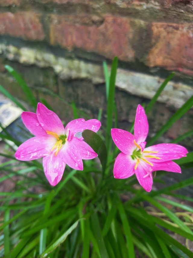 20250805_092158.jpg