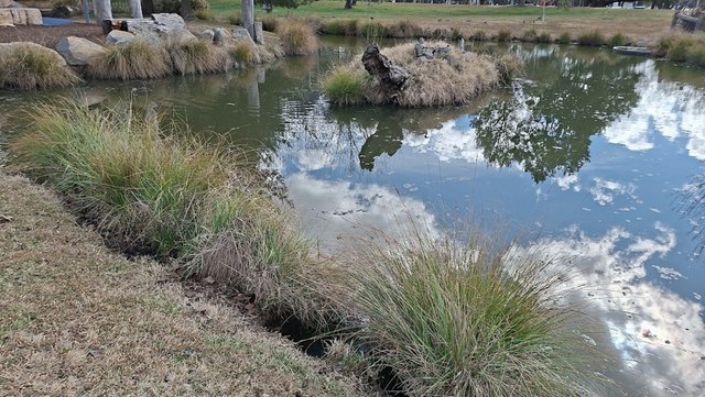20250721_125219.jpg