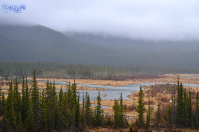 bow valley parkway2.jpg