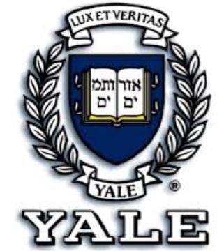 (2)yale.JPG