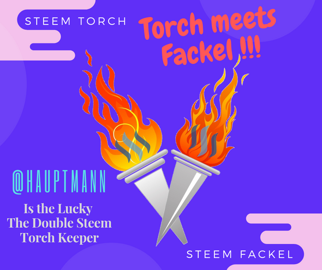 steem torch.png